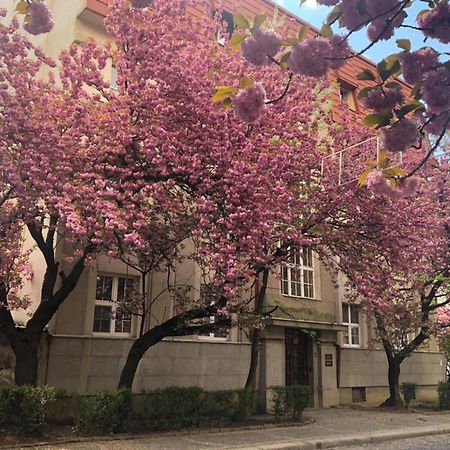 Апарт-Отель "Галаговъ" Uzhhorod Exterior photo